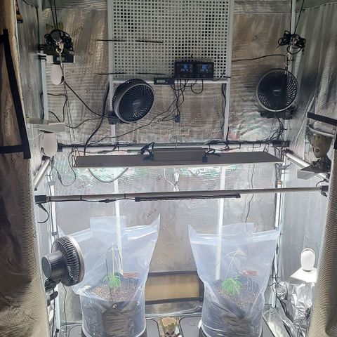 Electrify growlog timeline photo