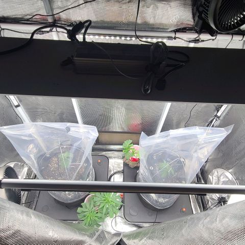 Electrify growlog timeline photo