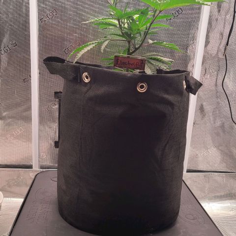 Electrify growlog timeline photo