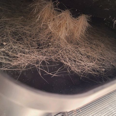 Electrify growlog timeline photo