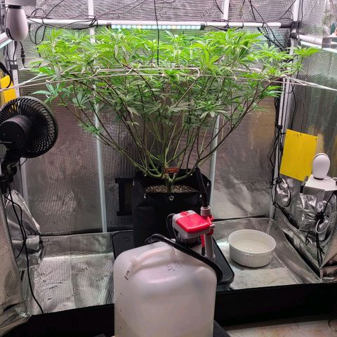 Electrify growlog timeline photo