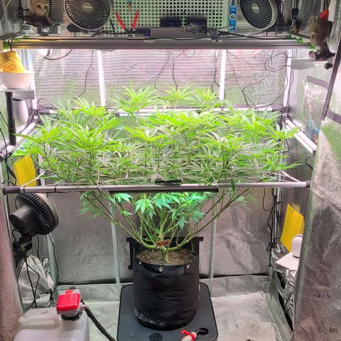 Electrify growlog timeline photo
