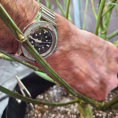 Electrify growlog timeline photo