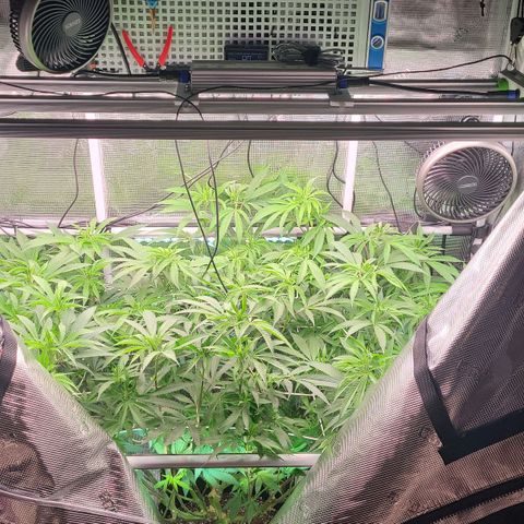 Electrify growlog timeline photo