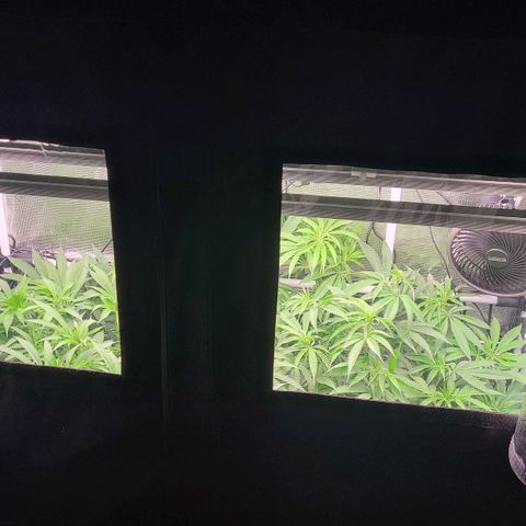 Electrify growlog timeline photo
