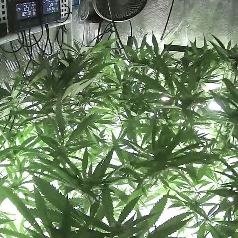 Electrify growlog timeline photo