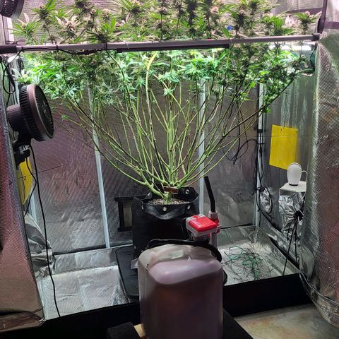 Electrify growlog timeline photo