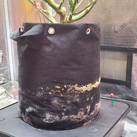 Electrify growlog timeline photo
