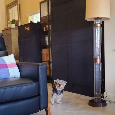 Electrify growlog timeline photo