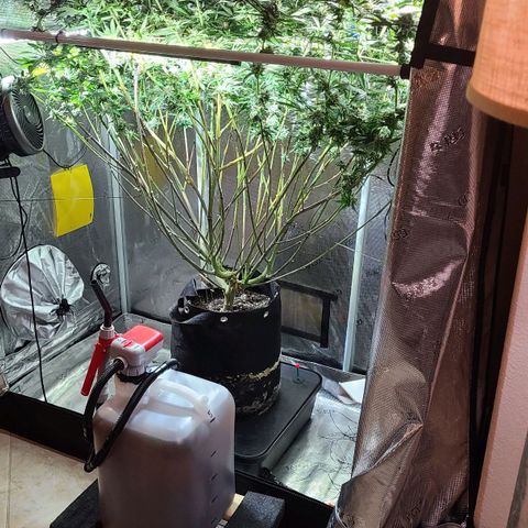 Electrify growlog timeline photo