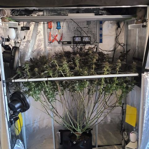 Electrify growlog timeline photo