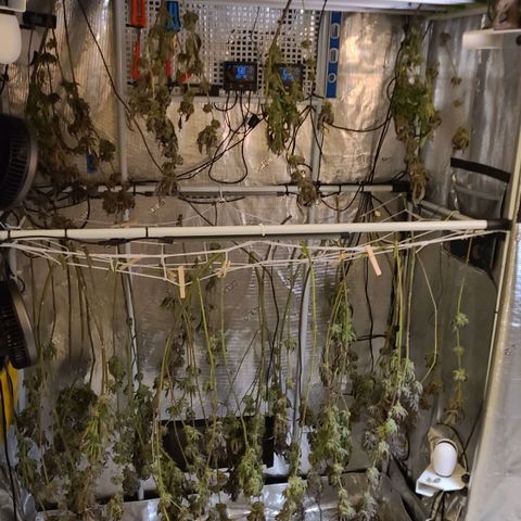 Electrify growlog timeline photo