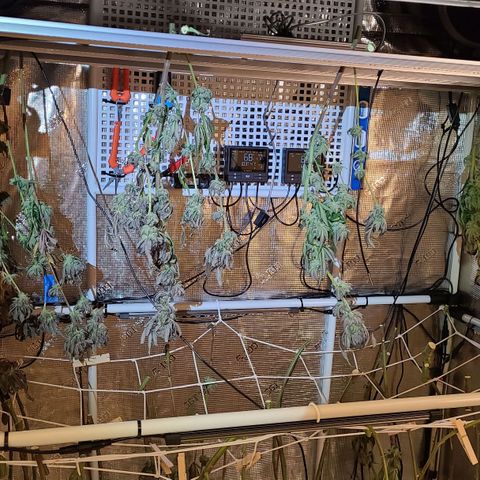 Electrify growlog timeline photo