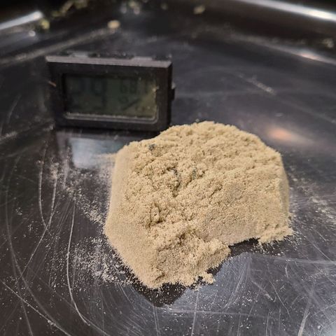 Electrify growlog timeline photo