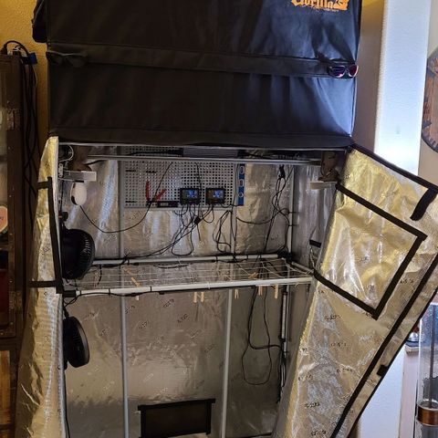 Electrify growlog timeline photo