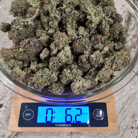 Electrify growlog timeline photo