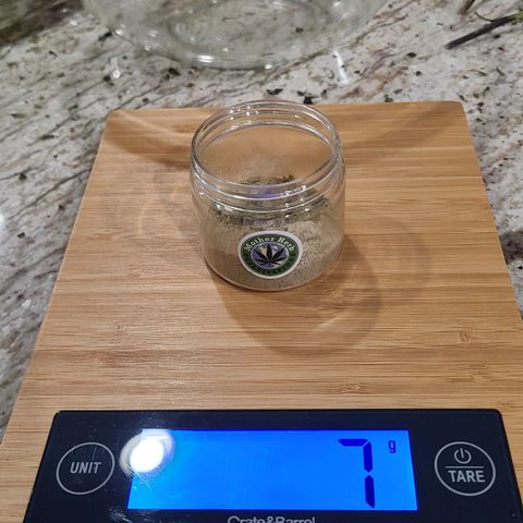 Electrify growlog timeline photo