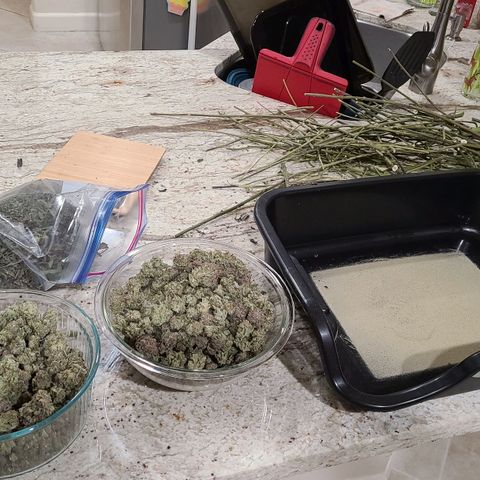 Electrify growlog timeline photo