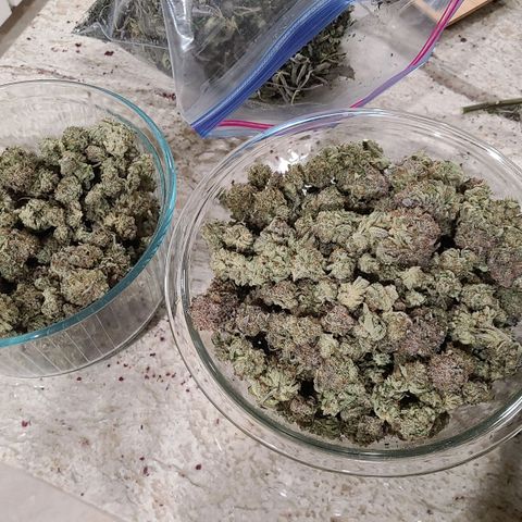 Electrify growlog timeline photo