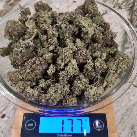 Electrify growlog timeline photo