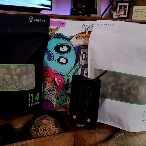 Electrify growlog photo: Enjoy! 