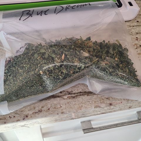 Blue Dream growlog photo: Bit of Blue Dream rosin. Bagging leftovers for edibles 