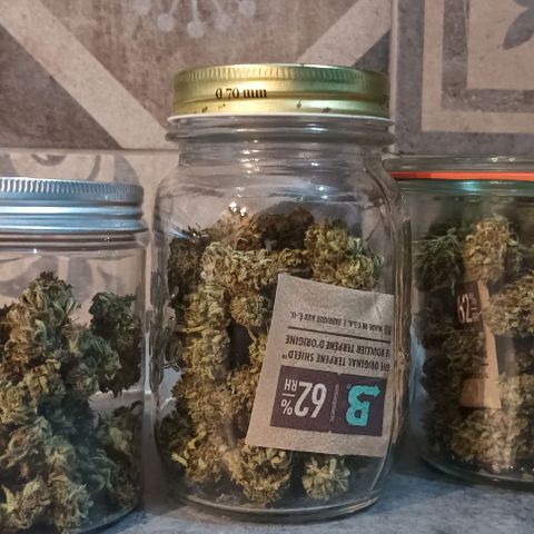 Twin lights growlog photo: Whish you smell here! Good grow everybody