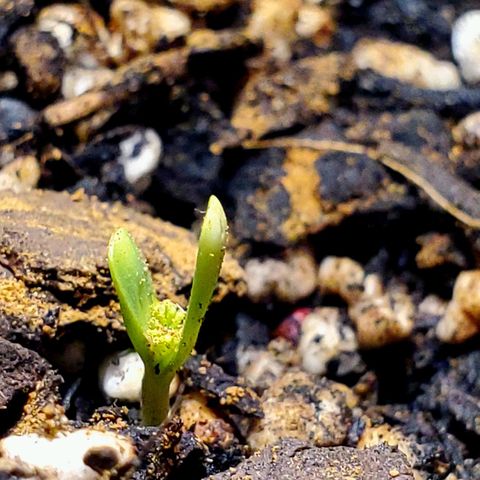 Power puff girl #2 growlog photo: The clawwww 😅