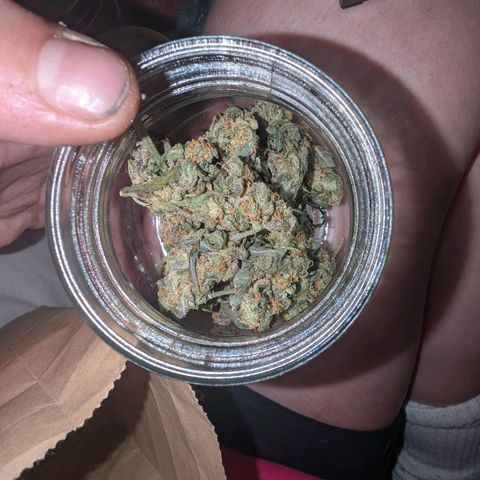 Mummy& Daddy OG  growlog photo: 9grams DAY 3 of drying 