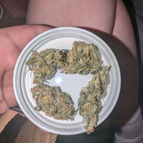 Mummy& Daddy OG  growlog photo: 9grams DAY 3 of drying 