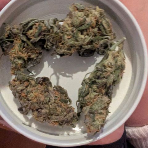 Mummy& Daddy OG  growlog timeline photo