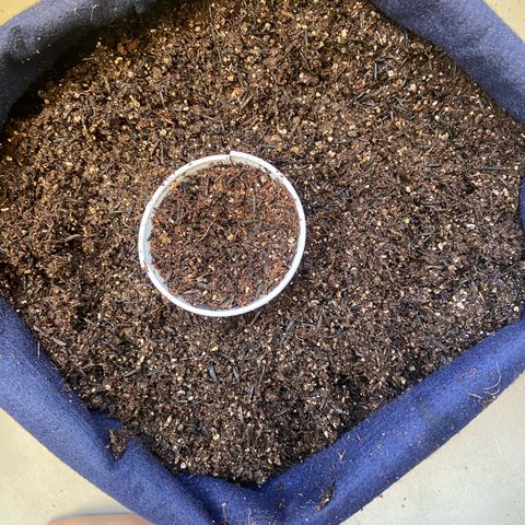 Amnesia Dentista growlog photo: Passei da agua pra terra
