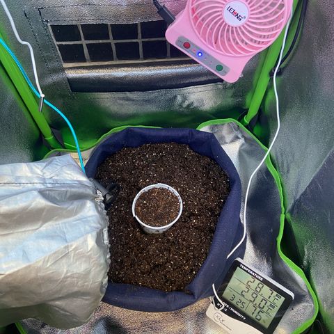 Amnesia Dentista growlog photo: Passei da agua pra terra