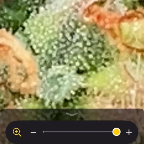 Amnesia Dentista growlog timeline photo