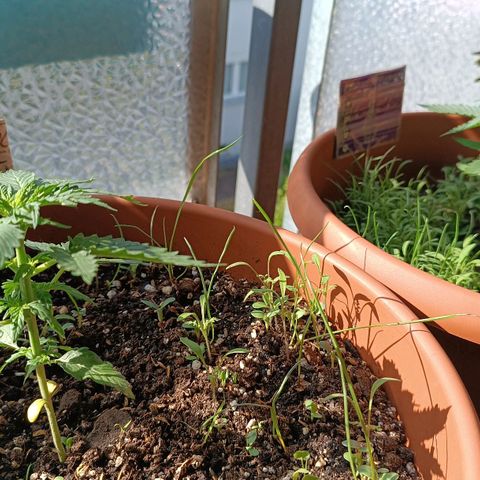 Antje / Brunhilde  growlog timeline photo