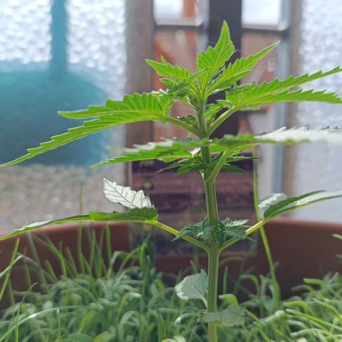 Antje / Brunhilde  growlog timeline photo