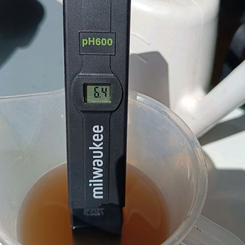 Antje / Brunhilde  growlog timeline photo