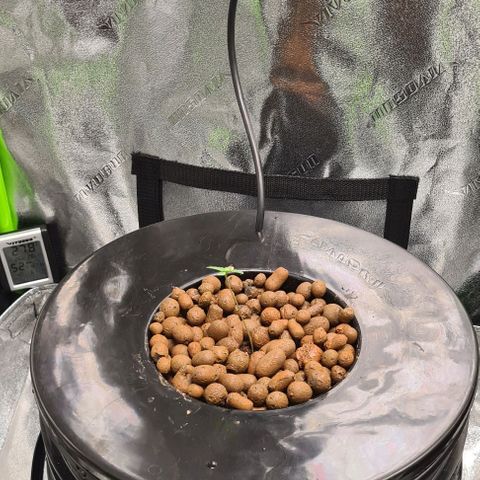 Cookie growlog timeline photo