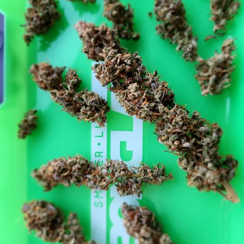 Big Devil Auto growlog photo: A curado en bolsas especiales