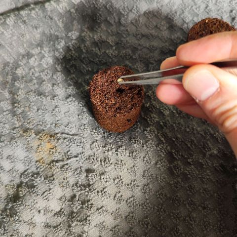 Test mainlining  growlog timeline photo