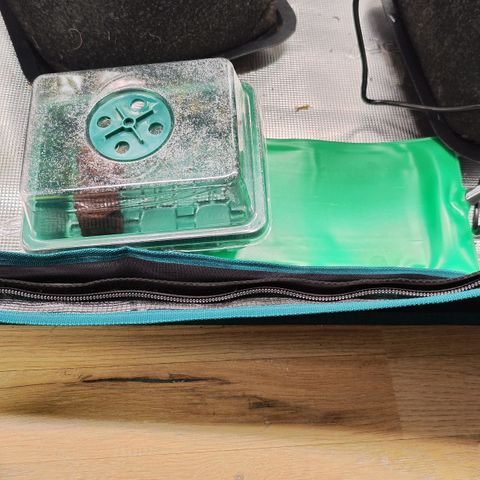 Test mainlining  growlog timeline photo