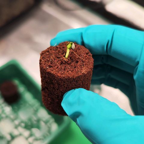 Test mainlining  growlog timeline photo
