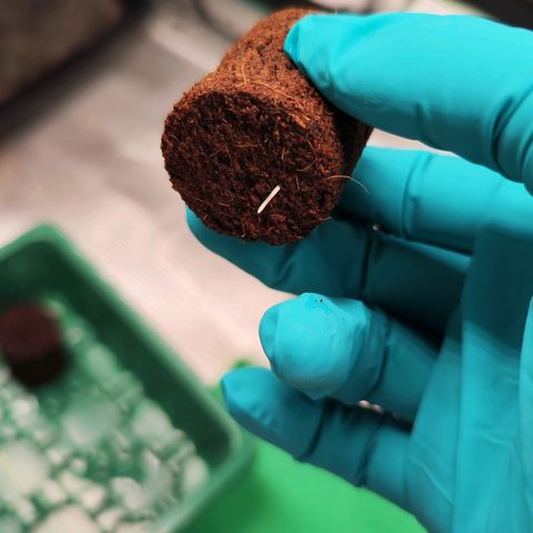 Test mainlining  growlog timeline photo