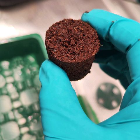 Test mainlining  growlog timeline photo
