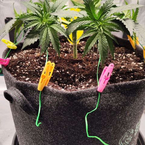 Test mainlining  growlog timeline photo
