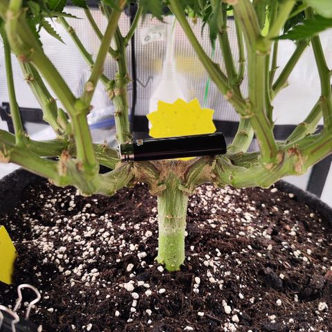 Test mainlining  growlog timeline photo