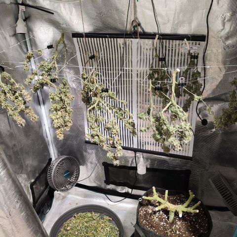 Test mainlining  growlog timeline photo