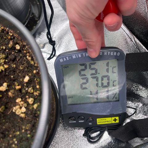 Nummer 4 growlog timeline photo