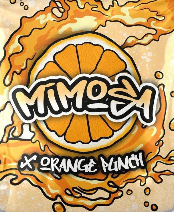 Mimosa x Orange Punch growlog header