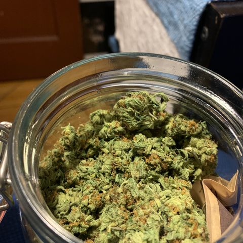 Ophelia G4-13 growlog timeline photo